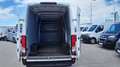 Iveco Daily 35S14 L2H2 *Netto €24.158,-* Weiß - thumbnail 10
