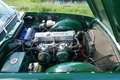 Triumph TR6 Roadster - Body-off restored Verde - thumbnail 30