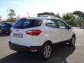 Ford EcoSport EcoSport 2018 1.0 ecoboost Plus 100cv Blanc - thumbnail 7