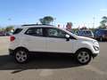 Ford EcoSport EcoSport 2018 1.0 ecoboost Plus 100cv Blanc - thumbnail 4