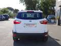 Ford EcoSport EcoSport 2018 1.0 ecoboost Plus 100cv Blanc - thumbnail 6