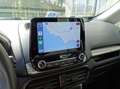 Ford EcoSport EcoSport 2018 1.0 ecoboost Plus 100cv Blanc - thumbnail 11