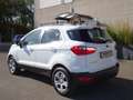 Ford EcoSport EcoSport 2018 1.0 ecoboost Plus 100cv Blanc - thumbnail 5