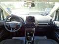 Ford EcoSport EcoSport 2018 1.0 ecoboost Plus 100cv Blanc - thumbnail 14
