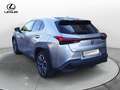 Lexus UX 300e UX Full Electric Luxury Grigio - thumbnail 7
