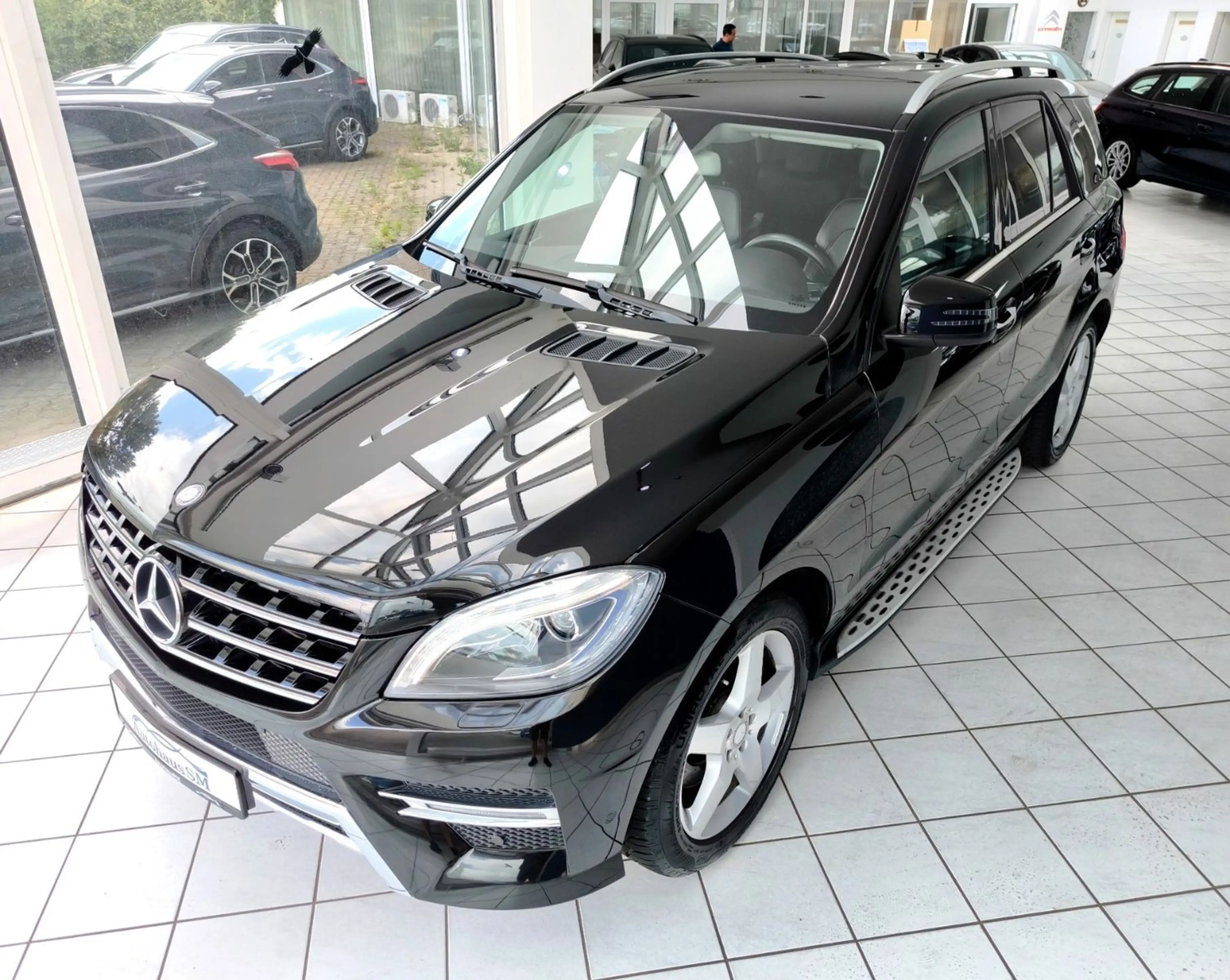 Mercedes-Benz ML 250 *4Matic*AMG Paket*Ahk*H&K — photo 7