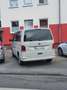 Volkswagen T6.1 Multivan Kurz Trendline - thumbnail 7