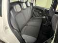 Fiat Panda 0.9 t.air t. natural power Easy 80cv my19 Weiß - thumbnail 5