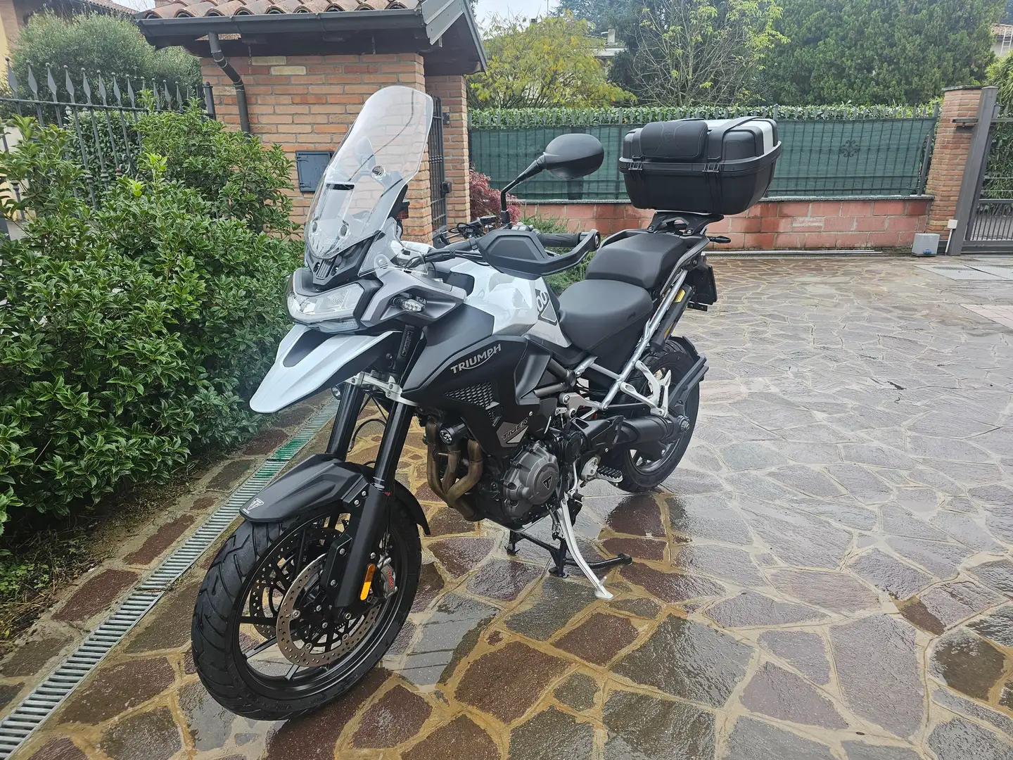Triumph Tiger 1200 GT PRO Blanc - 1