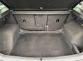 Volkswagen Tiguan Tiguan 2.0 TSI 4Motion DSG Grau - thumbnail 12