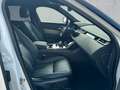 Land Rover Range Rover Velar D200 AWD R-DYNAMIC SE ACC Blanc - thumbnail 3