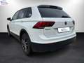 Volkswagen Tiguan 1.6 tdi Business 115cv Bianco - thumbnail 5