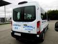 Ford Transit Variobus 2,0 EcoBlue L3H2 350 Trend Weiß - thumbnail 3