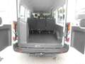 Ford Transit Variobus 2,0 EcoBlue L3H2 350 Trend Weiß - thumbnail 7
