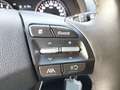 Hyundai i30 FL Kombi 1.5 T-GDI 48V-Hybrid Trend DynLicht Gris - thumbnail 22