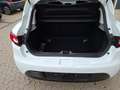 Renault Clio Clio 0.9 tce energy Business 90cv Bianco - thumbnail 15