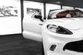 Aston Martin DBX 4.0 V8 #Exclusive Farbkombi #deutsches Fzg. Weiß - thumbnail 16