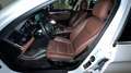 BMW 520 520d F10 xdrive Business 190cv MSPORT Tetto Blanco - thumbnail 16
