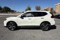 Nissan X-Trail X-Trail dCi 150 4WD X-Tronic Acenta Blanc - thumbnail 8