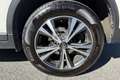 Nissan X-Trail X-Trail dCi 150 4WD X-Tronic Acenta Blanc - thumbnail 14