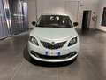 Lancia Ypsilon 1.0 FireFly 5 porte S&S Hybrid Platino ROTTAMAZIO Verde - thumbnail 6