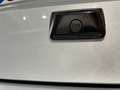Lancia Ypsilon 1.0 FireFly 5 porte S&S Hybrid Platino ROTTAMAZIO Verde - thumbnail 7