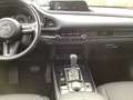 Mazda CX-30 SKYACTIV-X Matrix-LED Bose 360° Kamera Blau - thumbnail 12
