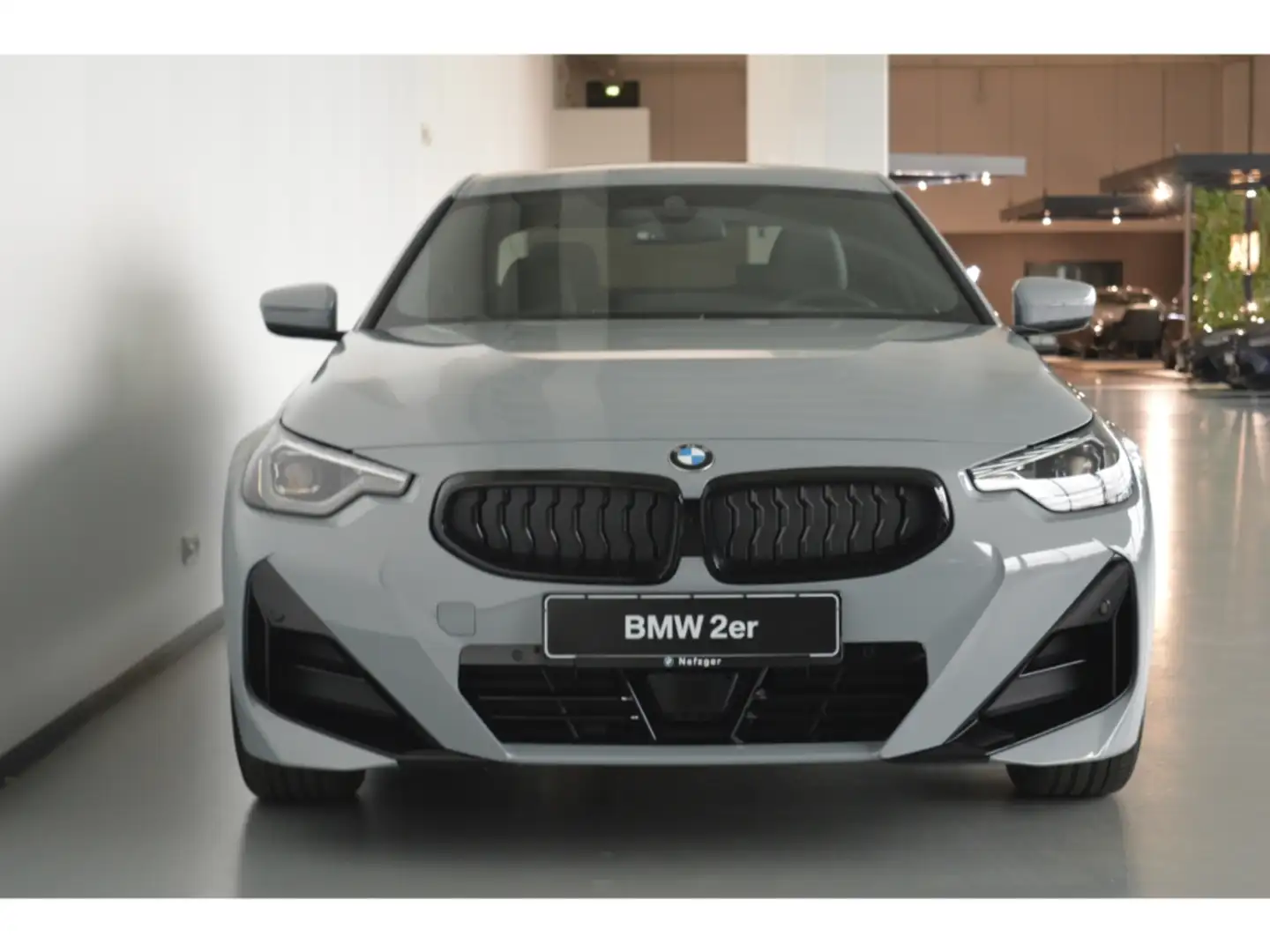 BMW 218 i M Sport Coupe Park-Assistent LED Klima Grey - 2
