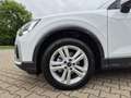 Audi Q2 35 TFSI advanced S-tronic LED AVC GRA PDC SH Grau - thumbnail 12