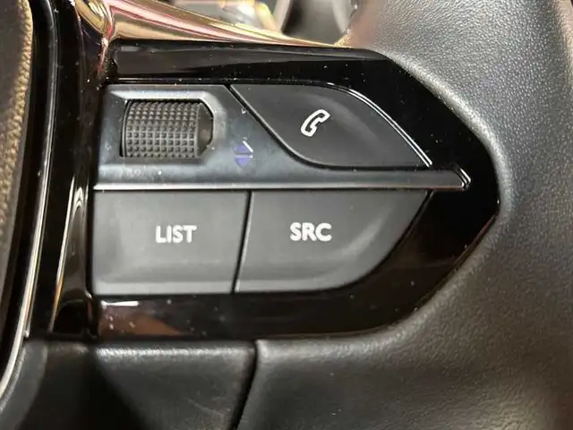 Peugeot 2008 view 19