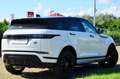 Land Rover Range Rover Evoque 2.0d i4 mhev R-Dynamic HSE awd 150cv auto PERMUTE Bianco - thumbnail 6