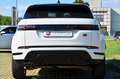 Land Rover Range Rover Evoque 2.0d i4 mhev R-Dynamic HSE awd 150cv auto PERMUTE Bianco - thumbnail 5