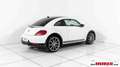 Volkswagen Beetle 1,4 TSI Sport Austria Bianco - thumbnail 5