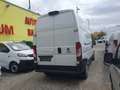 Fiat Ducato L3/H3 NETTO 15.500.- Ohne Anzahlung monatl. 399.- Weiß - thumbnail 5