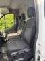 Ford Transit 310 2.0TDCi EcoBlue MHEV 130CV PM-TM Furgone Trend Blanc - thumbnail 6
