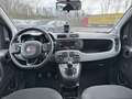Fiat Panda 1.0 70cv S&S Hybrid E6d-T City Cross Grigio - thumbnail 8