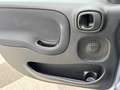 Fiat Panda 1.0 70cv S&S Hybrid E6d-T City Cross Grigio - thumbnail 18