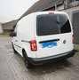 Volkswagen Caddy Caddy Life 1,9 TDI D-PF Life Weiß - thumbnail 2