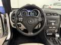 Mercedes-Benz SLK 200 SLK 200 Kompressor cat Grijs - thumbnail 7
