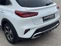 Kia XCeed Xceed 1,0 TGDI GPF Silber Grau - thumbnail 25