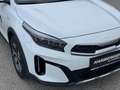 Kia XCeed Xceed 1,0 TGDI GPF Silber Grau - thumbnail 23