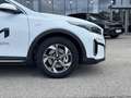 Kia XCeed Xceed 1,0 TGDI GPF Silber Grau - thumbnail 29