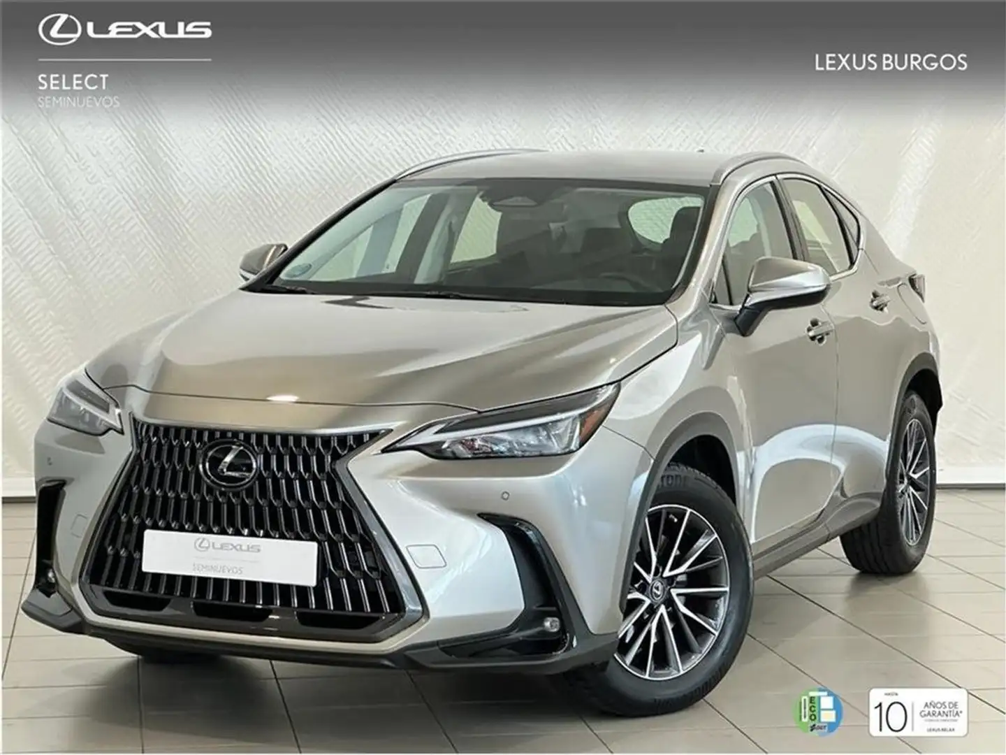 Lexus NX 300h 350h Executive 2WD Grau - 1