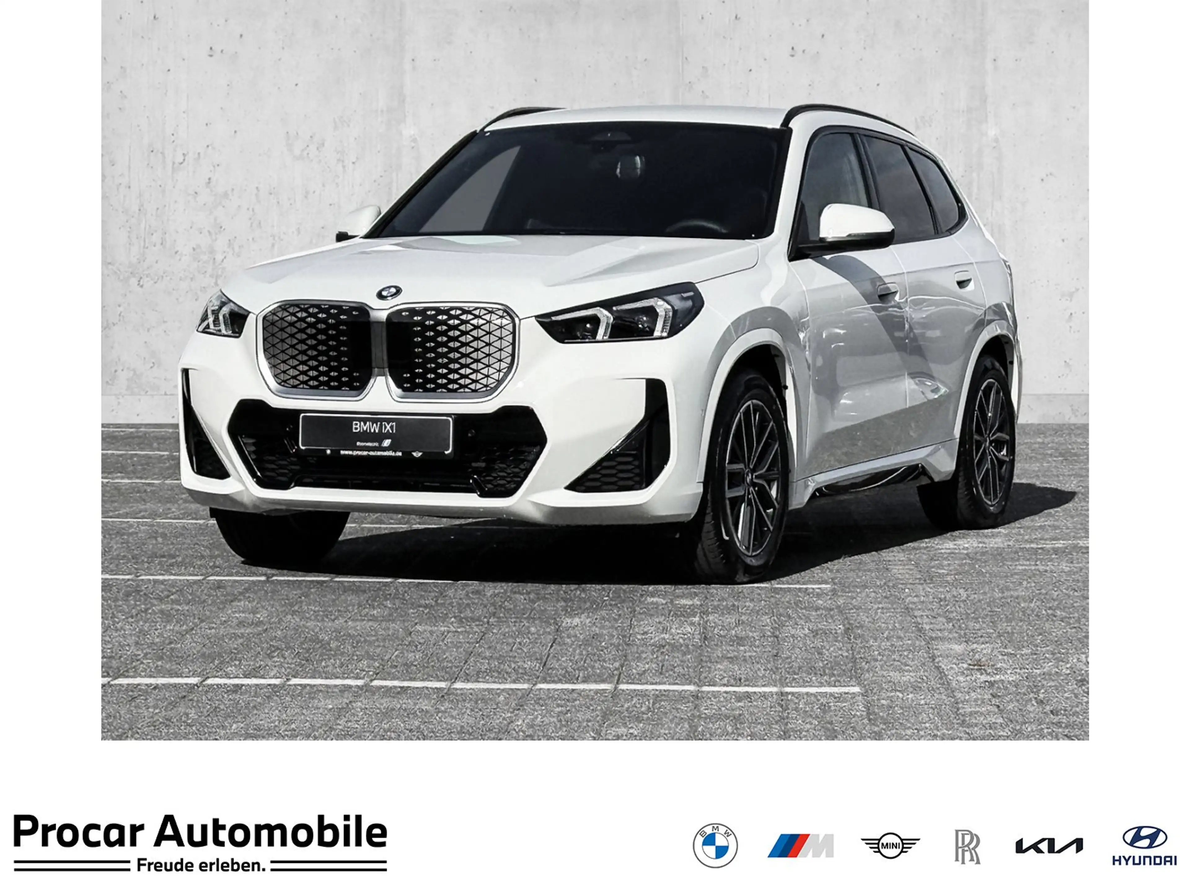 BMW iX1 eDrive20 M Sport ACC RFK NAVI Standh. LED