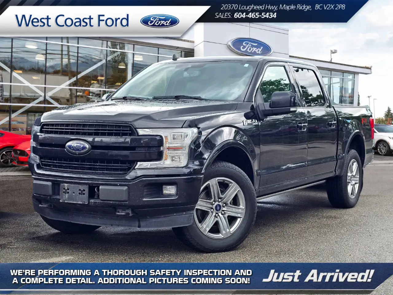 2019 Ford F 150