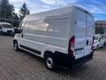 Fiat Ducato Bianco - thumbnail 4