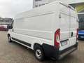 Fiat Ducato l2 h2 Wit - thumbnail 4