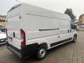 Fiat Ducato l2 h2 Wit - thumbnail 3