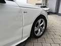 Audi A4 Lim. 35 TFSI *TOP-Ausstattung* S-LINE Gris - thumbnail 12