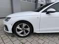 Audi A4 Lim. 35 TFSI *TOP-Ausstattung* S-LINE Gris - thumbnail 5